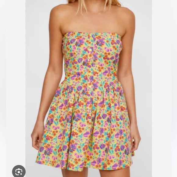 Nasty Gal Dresses & Skirts - Nasty Gal Ditsy printed bustier Skater dress